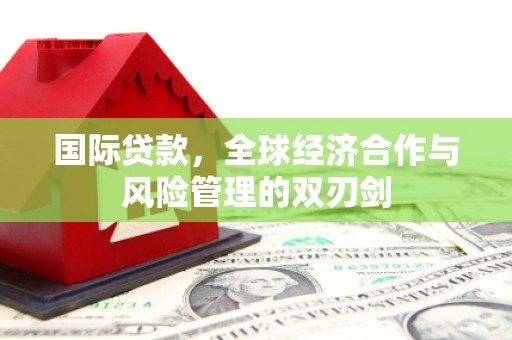 金安国际贷款，全球经济合作与风险管理的双刃剑