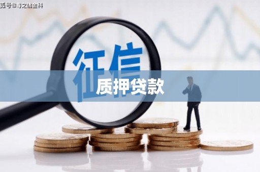 勐海质押贷款