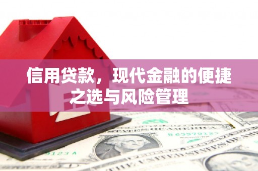 弋阳信用贷款，现代金融的便捷之选与风险管理