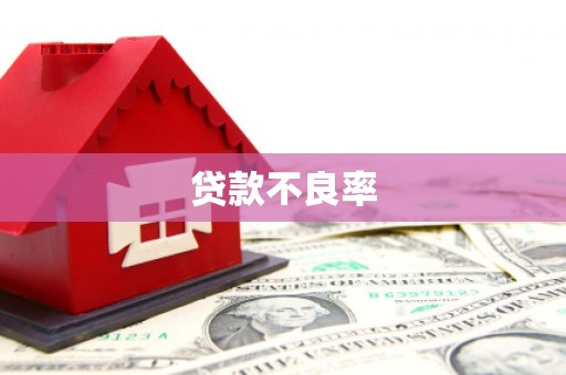 长洲贷款不良率