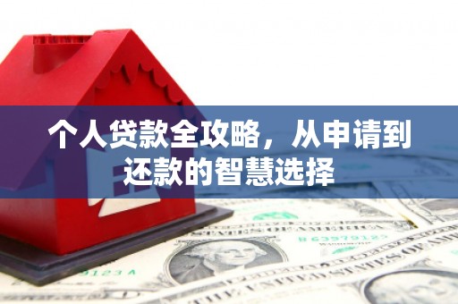 镇康个人贷款全攻略，从申请到还款的智慧选择