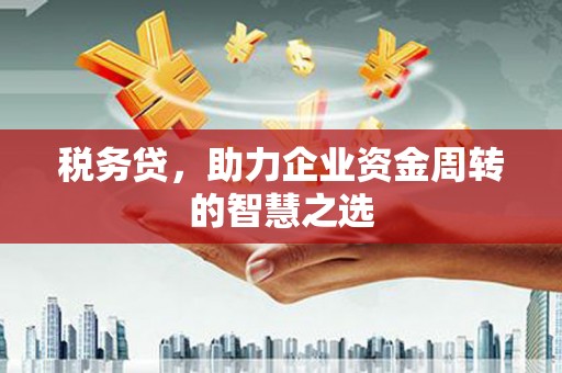 沈北新区税务贷，助力企业资金周转的智慧之选