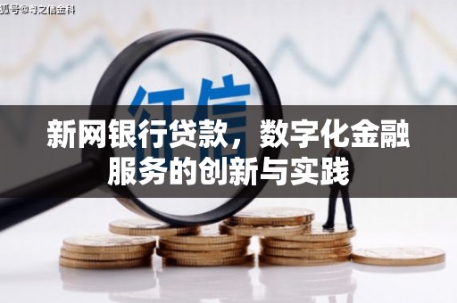 普湾新区新网银行贷款，数字化金融服务的创新与实践