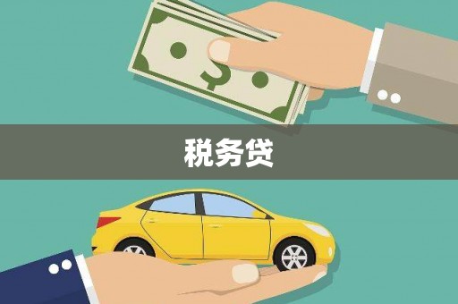聂拉木税务贷