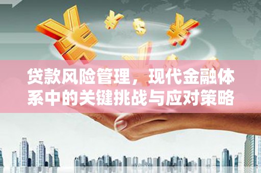 思南贷款风险管理，现代金融体系中的关键挑战与应对策略