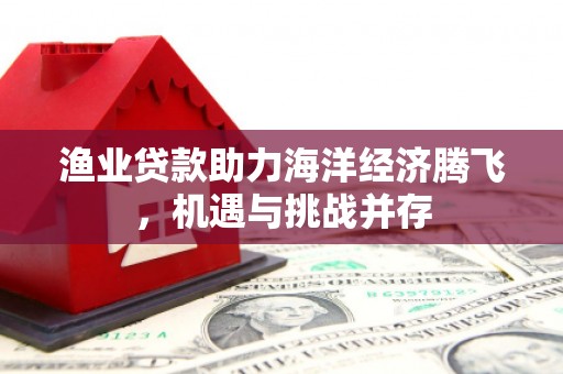 新埤渔业贷款助力海洋经济腾飞，机遇与挑战并存