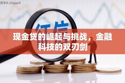 开阳现金贷的崛起与挑战，金融科技的双刃剑