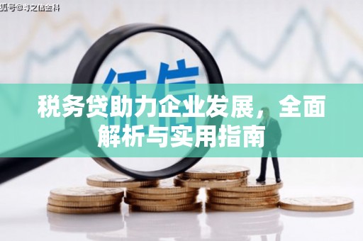 凤台税务贷助力企业发展，全面解析与实用指南