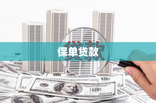 七美保单贷款
