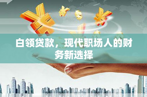 荷塘白领贷款，现代职场人的财务新选择