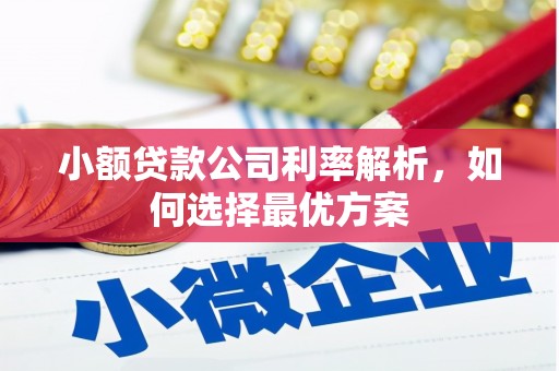 拉孜小额贷款公司利率解析，如何选择最优方案