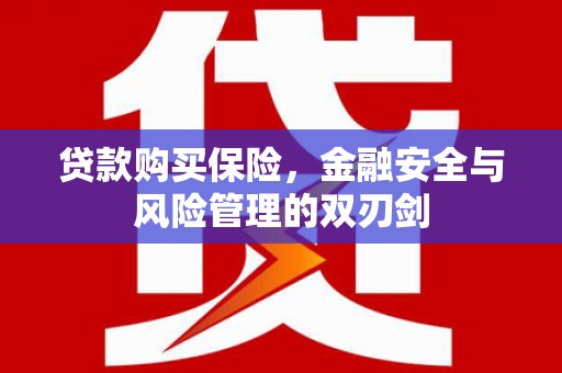 沁源贷款购买保险，金融安全与风险管理的双刃剑