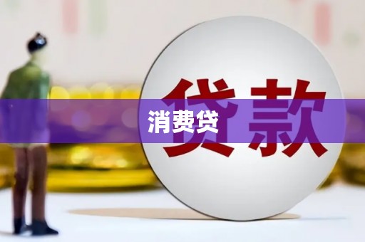定安消费贷