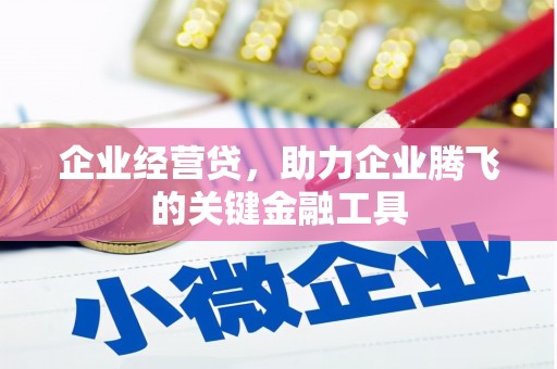 庄浪企业经营贷，助力企业腾飞的关键金融工具