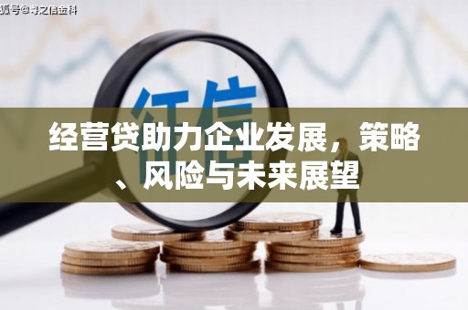 保税港区经营贷助力企业发展，策略、风险与未来展望