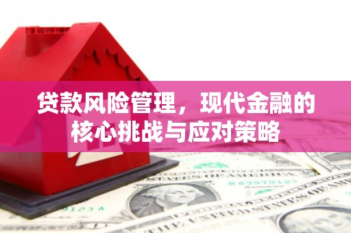 弥陀贷款风险管理，现代金融的核心挑战与应对策略