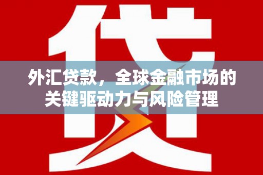 洋山外汇贷款，全球金融市场的关键驱动力与风险管理