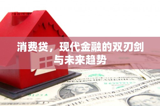 西屯消费贷，现代金融的双刃剑与未来趋势