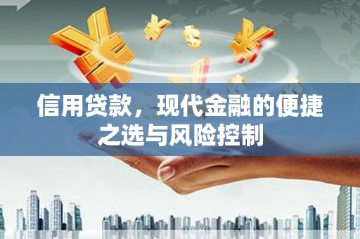 鹿泉信用贷款，现代金融的便捷之选与风险控制