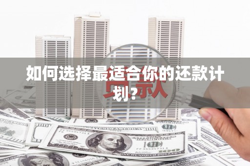 安县如何选择最适合你的还款计划？