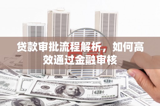 雨城贷款审批流程解析，如何高效通过金融审核
