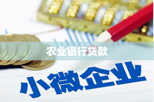 新建农业银行贷款