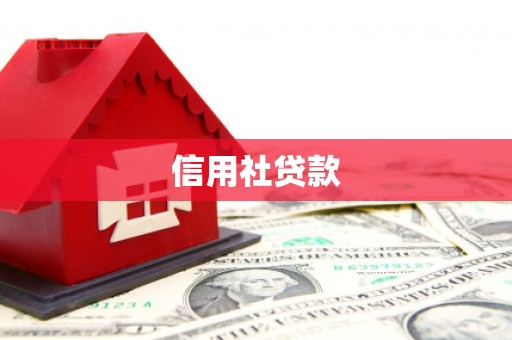 加查信用社贷款