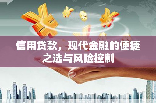嘉祥信用贷款，现代金融的便捷之选与风险控制