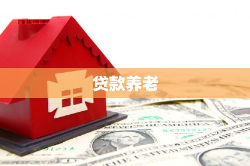 柳营贷款养老