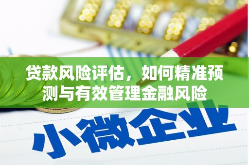 西秀贷款风险评估，如何精准预测与有效管理金融风险