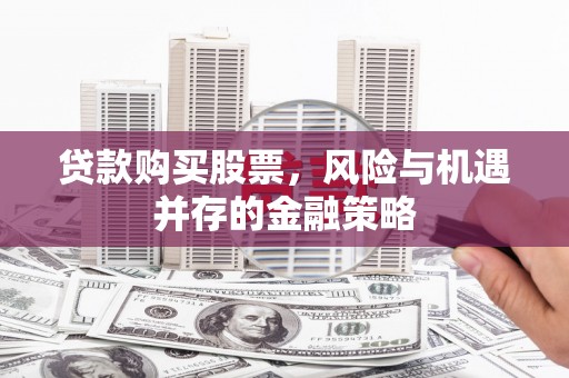海陵贷款购买股票，风险与机遇并存的金融策略