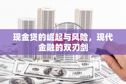 海陵现金贷的崛起与风险，现代金融的双刃剑