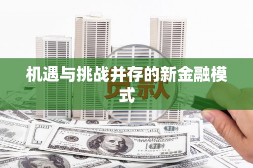 惠民机遇与挑战并存的新金融模式