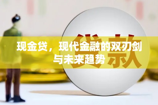 毕节现金贷，现代金融的双刃剑与未来趋势