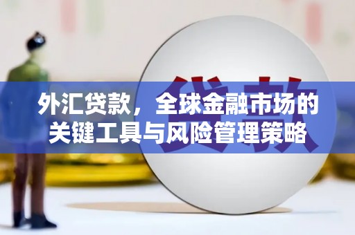 泉州外汇贷款，全球金融市场的关键工具与风险管理策略