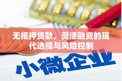 舞阳无抵押贷款，灵活融资的现代选择与风险控制