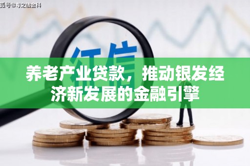 天津养老产业贷款，推动银发经济新发展的金融引擎