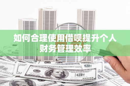 明溪如何合理使用借呗提升个人财务管理效率