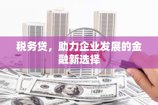 高要税务贷，助力企业发展的金融新选择