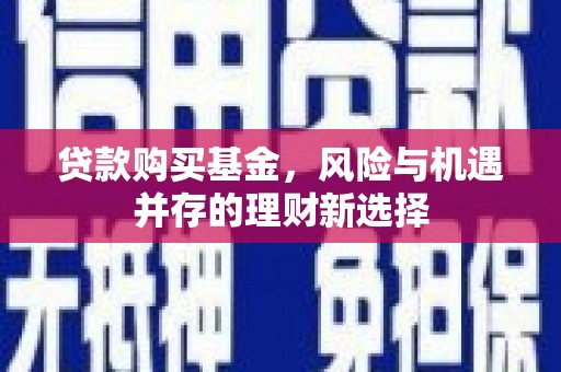 威宁贷款购买基金，风险与机遇并存的理财新选择