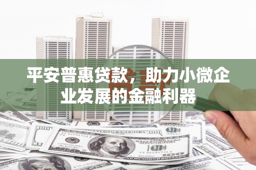 革吉平安普惠贷款，助力小微企业发展的金融利器