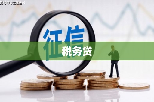 横山税务贷
