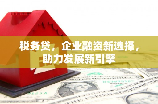 琼中税务贷，企业融资新选择，助力发展新引擎