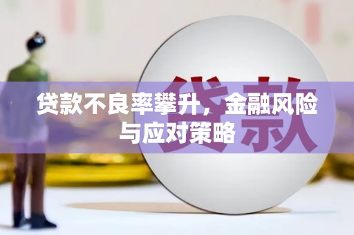 芦洲贷款不良率攀升，金融风险与应对策略