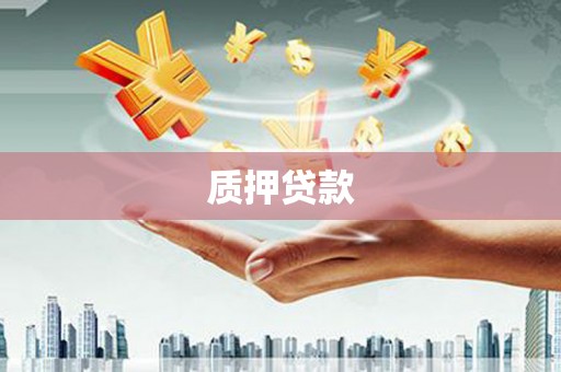 六枝质押贷款