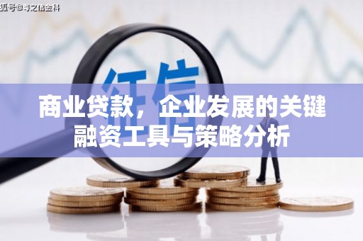 平顶山商业贷款，企业发展的关键融资工具与策略分析