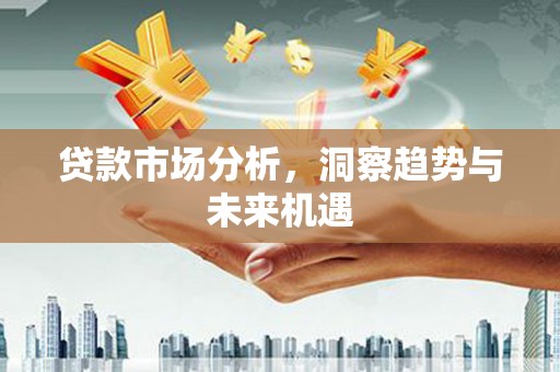 元宝贷款市场分析，洞察趋势与未来机遇