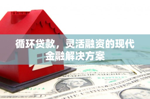冈山循环贷款，灵活融资的现代金融解决方案