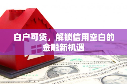 玄武白户可贷，解锁信用空白的金融新机遇