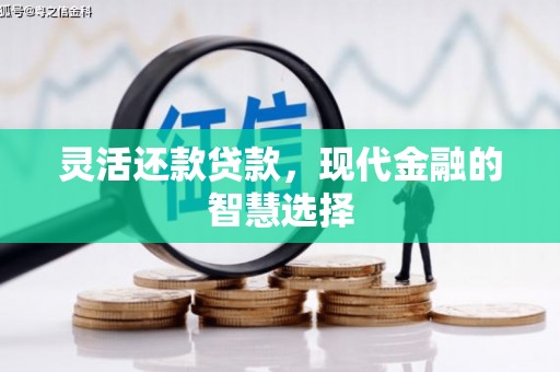 偃师灵活还款贷款，现代金融的智慧选择